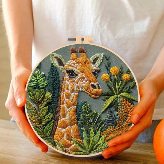 Beginner Embroidery Kit Punch Needle Kit with Hoop Cloth, Color Thread.