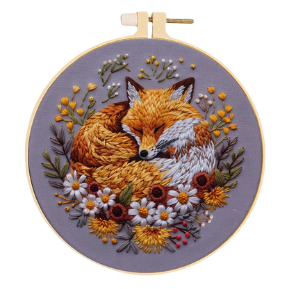 Beginner Embroidery Kit Punch Needle Kit with Hoop Cloth, Color Thread.
